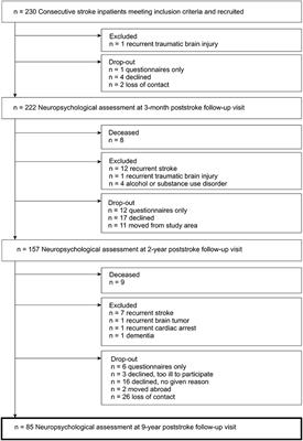 Memory decline in young stroke survivors during a 9-year follow-up: A cohort study